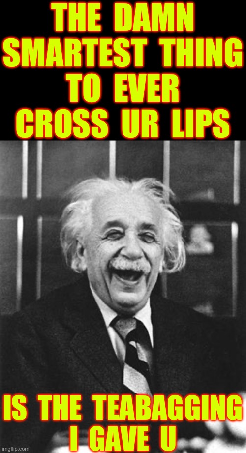 BURN !!!  LOL. : ) | THE  DAMN
SMARTEST  THING
TO  EVER
CROSS  UR  LIPS; IS  THE  TEABAGGING
I  GAVE  U | image tagged in einstein laugh | made w/ Imgflip meme maker