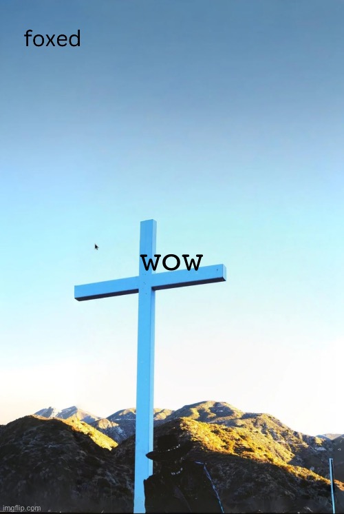 foxed jpeg temp | wow | image tagged in foxed jpeg temp | made w/ Imgflip meme maker