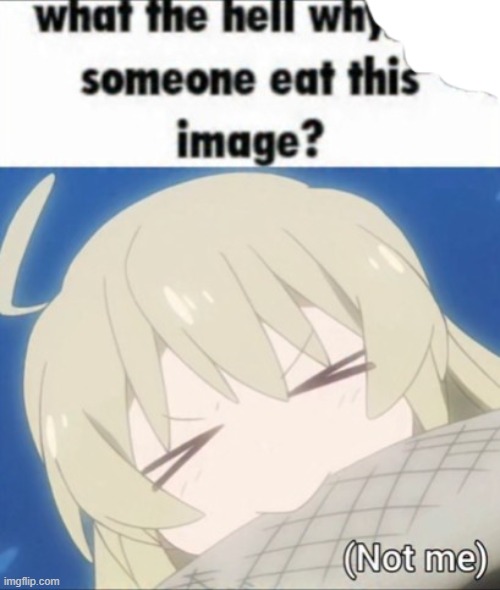 made w/ Imgflip meme maker