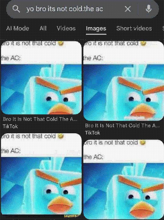 Bro it's not that cold Blank Meme Template