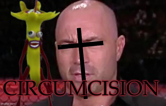 That face you make when someone says they don't like Joe Rogan.  | CIRCUMCISION | image tagged in that face you make when someone says they don't like joe rogan | made w/ Imgflip meme maker