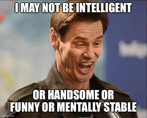 DOOFUS | I MAY NOT BE INTELLIGENT; OR HANDSOME OR FUNNY OR MENTALLY STABLE | image tagged in doofus | made w/ Imgflip meme maker