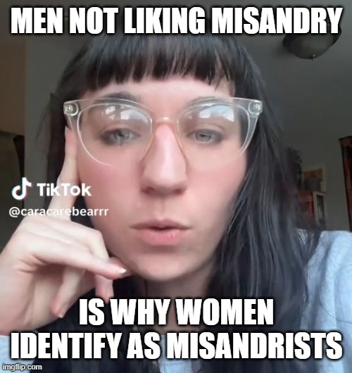 feminists are such ego mainacs | MEN NOT LIKING MISANDRY; IS WHY WOMEN IDENTIFY AS MISANDRISTS | made w/ Imgflip meme maker