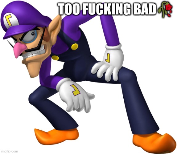 TOO BAD! WALUIGI TIME! | TOO FUCKING BAD? | image tagged in too bad waluigi time | made w/ Imgflip meme maker