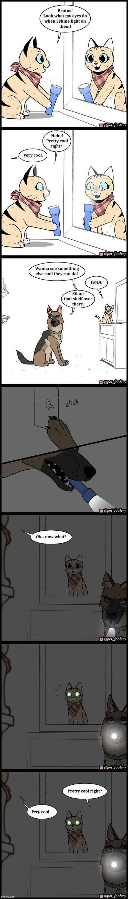 image tagged in cat,dog,eyes,glow,glowing,cool | made w/ Imgflip meme maker