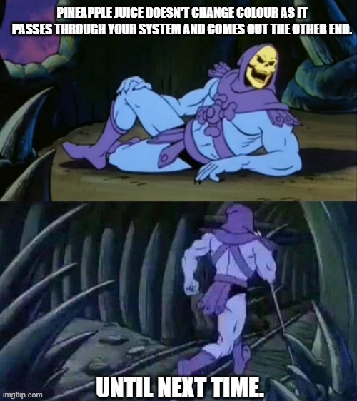 Skeletor disturbing facts | PINEAPPLE JUICE DOESN'T CHANGE COLOUR AS IT PASSES THROUGH YOUR SYSTEM AND COMES OUT THE OTHER END. UNTIL NEXT TIME. | image tagged in skeletor disturbing facts | made w/ Imgflip meme maker
