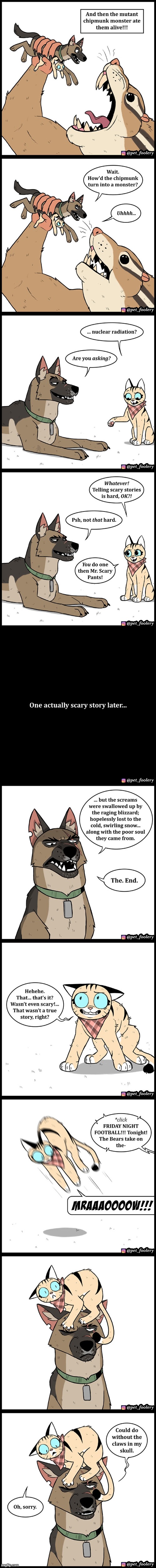 image tagged in dog,cat,scary,story,football,tv | made w/ Imgflip meme maker