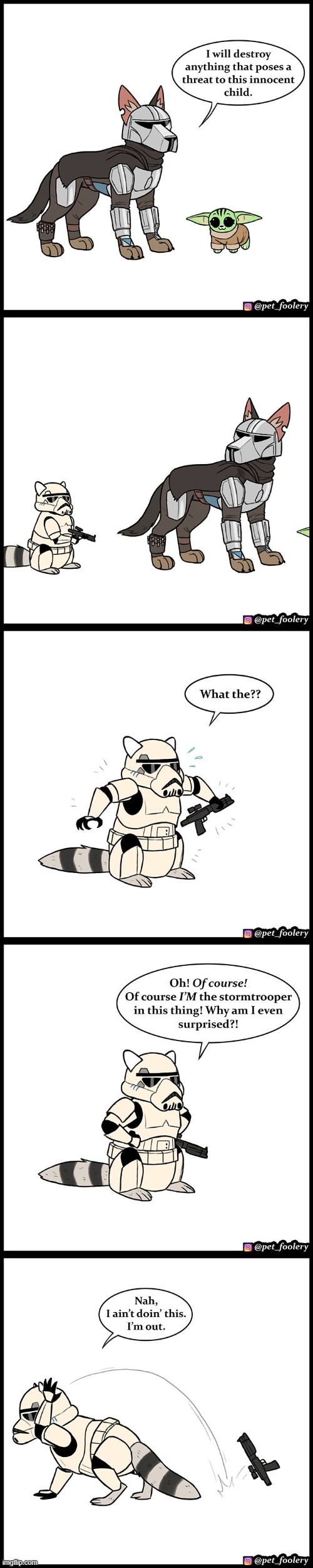 image tagged in dog,cat,racoon,star wars,stormtrooper,oof | made w/ Imgflip meme maker