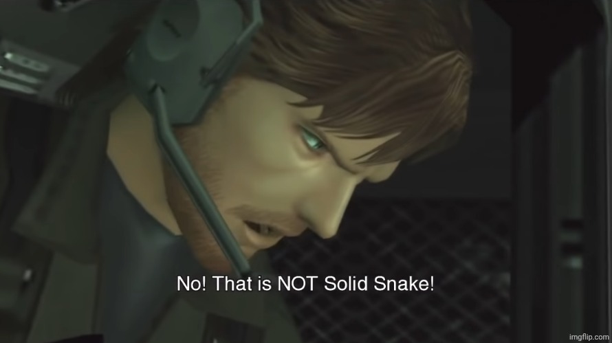 No, that is NOT Solid Snake! | image tagged in no that is not solid snake | made w/ Imgflip meme maker