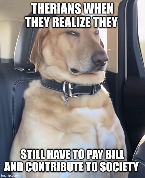Thoughts on therians? | THERIANS WHEN THEY REALIZE THEY; STILL HAVE TO PAY BILL AND CONTRIBUTE TO SOCIETY | image tagged in lol,funny,memes,funny memes,crazy,omg | made w/ Imgflip meme maker