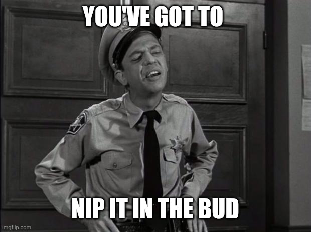 Barney fife | YOU'VE GOT TO; NIP IT IN THE BUD | image tagged in barney fife,funny memes | made w/ Imgflip meme maker