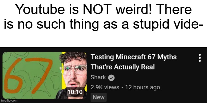 Dumb Youtube | Youtube is NOT weird! There is no such thing as a stupid vide- | image tagged in fun | made w/ Imgflip meme maker