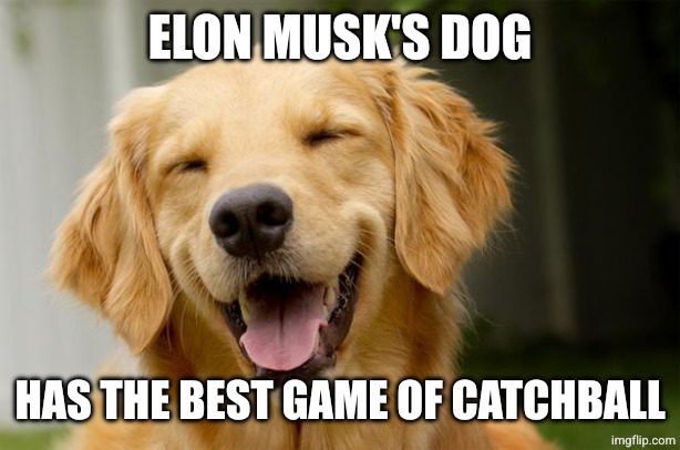 ELON MUSK'S DOG HAS THE BEST GAME OF CATCHBALL | image tagged in happy dog | made w/ Imgflip meme maker