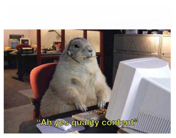 Castor quality content Blank Meme Template