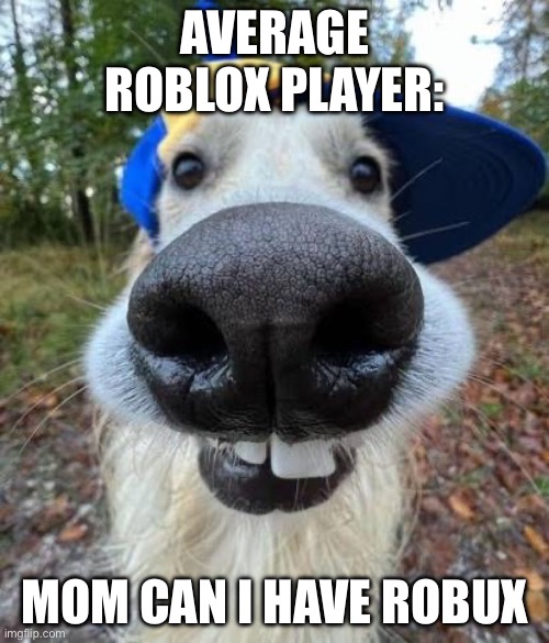 Little kids abuse a thing called a credit card | AVERAGE ROBLOX PLAYER:; MOM CAN I HAVE ROBUX | image tagged in derp dog,banana | made w/ Imgflip meme maker