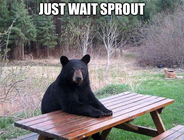 waiting bear | JUST WAIT SPROUT | image tagged in waiting bear | made w/ Imgflip meme maker