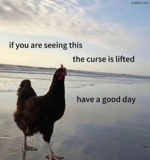 image tagged in msmg | made w/ Imgflip meme maker