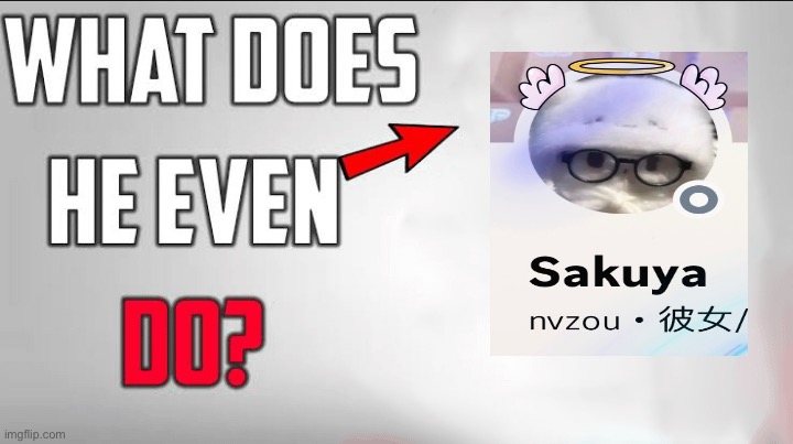 What Does He Even Do Blank Template | image tagged in what does he even do blank template | made w/ Imgflip meme maker