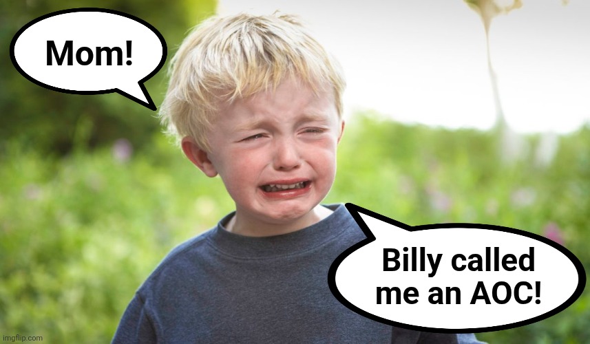 It's come to that | Mom! Billy called
me an AOC! | image tagged in memes,aoc,democrats,boy crying,brain dead,insult | made w/ Imgflip meme maker