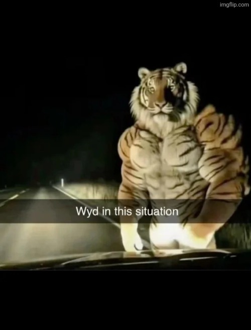 Me personally, I'd tell a trusted adult and looking left | image tagged in msmg | made w/ Imgflip meme maker