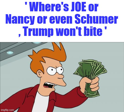 Take My Money Fry, that's the beauty of having a BILL$PRES> he don't need their money. Why you think they tried to K again. | ' Where's JOE or Nancy or even Schumer  , Trump won't bite ' | image tagged in memes,shut up and take my money fry | made w/ Imgflip meme maker