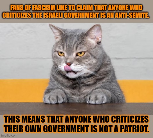 This #lolcat wonders why hoo-mens think critisising a government means you hate the country | FANS OF FASCISM LIKE TO CLAIM THAT ANYONE WHO CRITICIZES THE ISRAELI GOVERNMENT IS AN ANTI-SEMITE. THIS MEANS THAT ANYONE WHO CRITICIZES THEIR OWN GOVERNMENT IS NOT A PATRIOT. | image tagged in government,israel,antisemitism,stupid people,lolcat | made w/ Imgflip meme maker