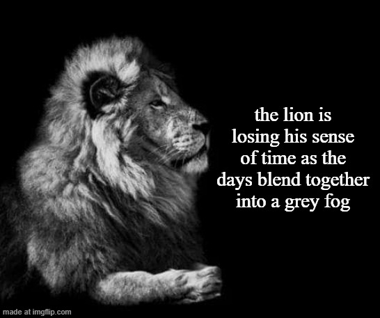 the lion.. | the lion is losing his sense of time as the days blend together into a grey fog | image tagged in the lion | made w/ Imgflip meme maker