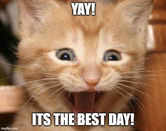 Excited Cat Meme | YAY! ITS THE BEST DAY! | image tagged in memes,excited cat | made w/ Imgflip meme maker