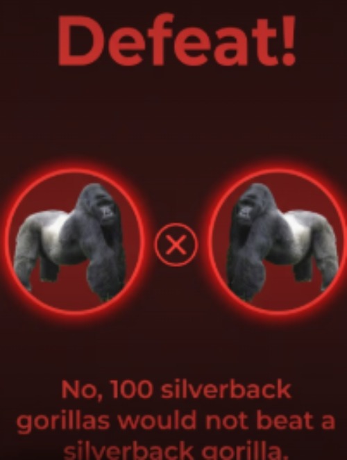 is this gorilla literally him | made w/ Imgflip meme maker