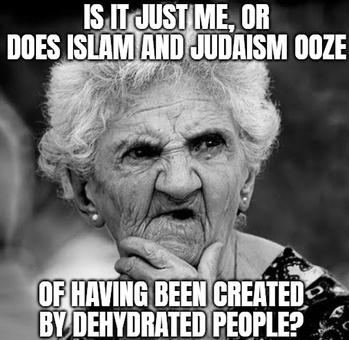 Wondering Old Lady | IS IT JUST ME, OR DOES ISLAM AND JUDAISM OOZE; OF HAVING BEEN CREATED BY DEHYDRATED PEOPLE? | image tagged in wondering old lady,religion,judaism,islam,funny | made w/ Imgflip meme maker
