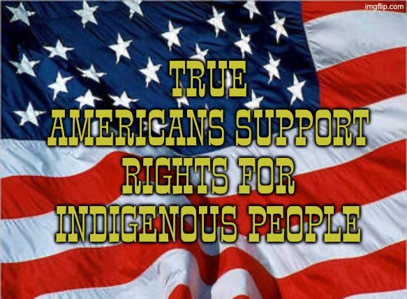 Andrew Jackson should have never got elected in the first place | TRUE AMERICANS SUPPORT RIGHTS FOR INDIGENOUS PEOPLE | image tagged in usa flag,andrew jackson,native american,native americans,patriot | made w/ Imgflip meme maker