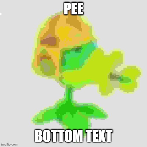 pee | PEE; BOTTOM TEXT | image tagged in memes | made w/ Imgflip meme maker