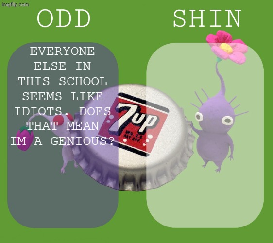 Shin and odd shared announcement template | EVERYONE ELSE IN THIS SCHOOL SEEMS LIKE IDIOTS. DOES THAT MEAN IM A GENIOUS? | image tagged in shin and odd shared announcement template | made w/ Imgflip meme maker