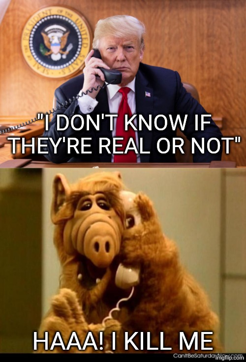 "I DON'T KNOW IF THEY'RE REAL OR NOT"; HAAA! I KILL ME | image tagged in trump on phone,alf phone,donald trump,aliens,tv show,area 51 | made w/ Imgflip meme maker