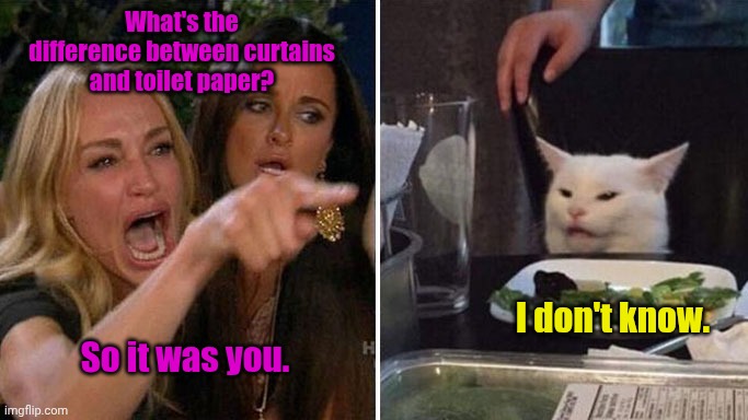 It wasn't me. | What's the difference between curtains and toilet paper? So it was you. I don't know. | image tagged in angry lady cat,funny,toilet paper | made w/ Imgflip meme maker