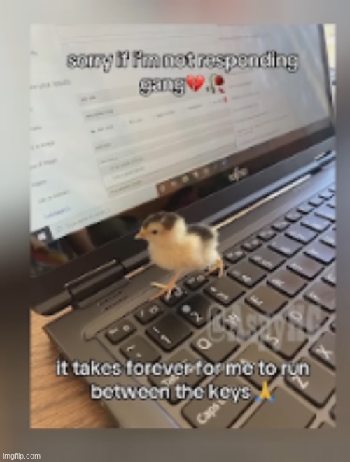 msmg core | made w/ Imgflip meme maker