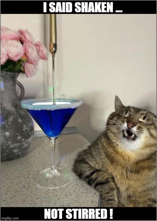 The Name's 'Tiddles' ... Mr Tiddles' | I SAID SHAKEN ... NOT STIRRED ! | image tagged in cat,james bond,milk,shaken not stirred | made w/ Imgflip meme maker