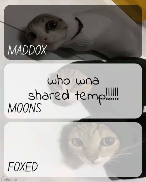 maddox, moons, n foxed kitty temp | who wna shared temp!!!!!! | image tagged in maddox moons n foxed kitty temp | made w/ Imgflip meme maker