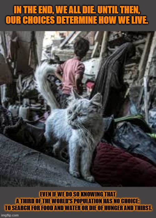 This #lolcat wonders why hoo-mens allow so many to suffer | IN THE END, WE ALL DIE. UNTIL THEN, 
OUR CHOICES DETERMINE HOW WE LIVE. EVEN IF WE DO SO KNOWING THAT 
A THIRD OF THE WORLD'S POPULATION HAS NO CHOICE: 
TO SEARCH FOR FOOD AND WATER OR DIE OF HUNGER AND THIRST. | image tagged in suffering,third world,hunger,capitalism,lolcat | made w/ Imgflip meme maker