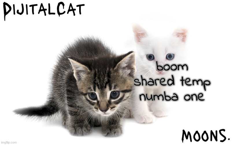 moons and dijitalcat kitty temp | boom shared temp numba one | image tagged in moons and dijitalcat kitty temp | made w/ Imgflip meme maker