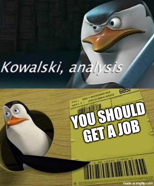 this is life | YOU SHOULD GET A JOB | image tagged in kowalski analysis | made w/ Imgflip meme maker