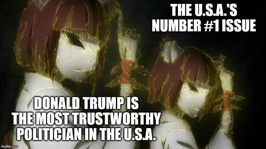 And neither side understands this issue | THE U.S.A.'S NUMBER #1 ISSUE; DONALD TRUMP IS THE MOST TRUSTWORTHY POLITICIAN IN THE U.S.A. | image tagged in usa,donald trump | made w/ Imgflip meme maker