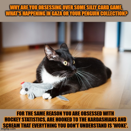 This #lolcat wonders why obsessing is only weird when a neurodivergent person does it | WHY ARE YOU OBSESSING OVER SOME SILLY CARD GAME,
 WHAT'S HAPPENING IN GAZA OR YOUR PENGUIN COLLECTION? FOR THE SAME REASON YOU ARE OBSESSED WITH HOCKEY STATISTICS, ARE HOOKED TO THE KARDASHIANS AND SCREAM THAT EVERYTHING YOU DON'T UNDERSTAND IS 'WOKE'. | image tagged in obsessed,adhd,autism,neurodivergent,lolcat | made w/ Imgflip meme maker