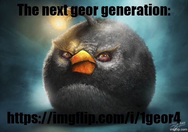 angry birds bomb | The next geor generation:; https://imgflip.com/i/1geor4 | image tagged in angry birds bomb,geor,9geor3,ageor6,1geor4,msmg | made w/ Imgflip meme maker