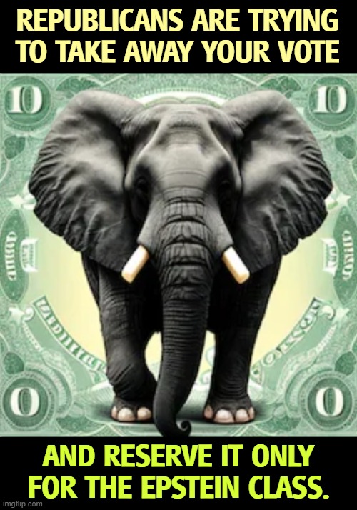 REPUBLICANS ARE TRYING TO TAKE AWAY YOUR VOTE; AND RESERVE IT ONLY FOR THE EPSTEIN CLASS. | image tagged in trump,republicans,election fraud,voter fraud,jeffrey epstein | made w/ Imgflip meme maker