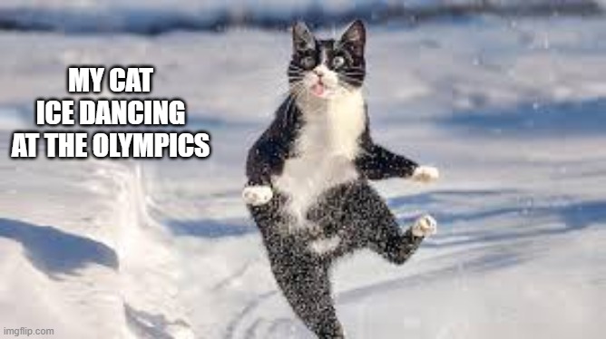 My cat ice dancing at the Olympics. | MY CAT ICE DANCING AT THE OLYMPICS | image tagged in cat,kittens,funny,humor,olympics,dancing | made w/ Imgflip meme maker