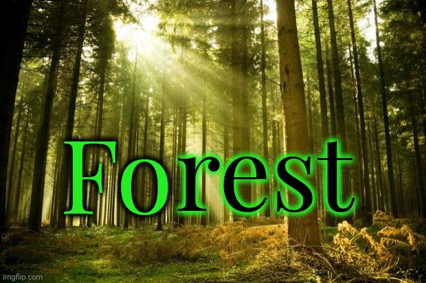 Inhale. Exhale. Relax. | rest; Fo | image tagged in forest,for rest,inhale,exhale,relax,memes | made w/ Imgflip meme maker