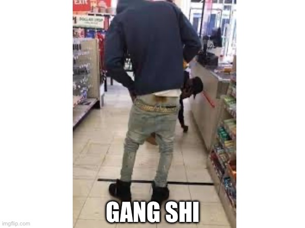 Gang shi | GANG SHI | image tagged in funny,gangster,funny memes,new | made w/ Imgflip meme maker