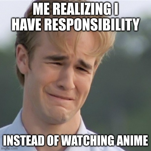 Dawson's Creek | ME REALIZING I HAVE RESPONSIBILITY; INSTEAD OF WATCHING ANIME | image tagged in dawson's creek,anime | made w/ Imgflip meme maker