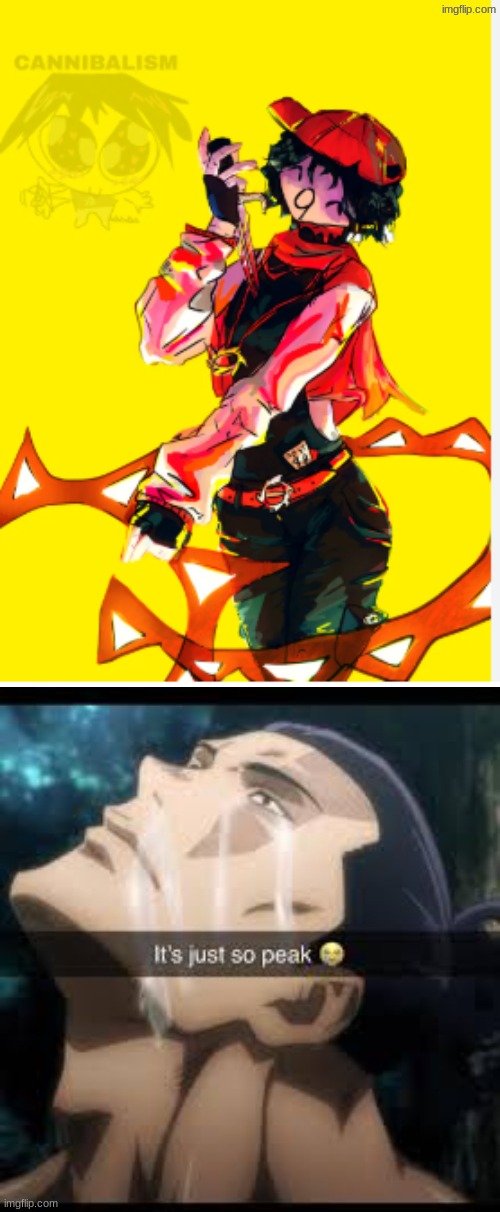 Vanity time is a crazy idea but amazing at the same time | image tagged in it s just so peak | made w/ Imgflip meme maker